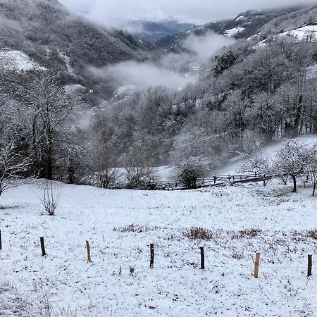 La So Casa -En El Corazon De Asturias Villa Armiello Dış mekan fotoğraf