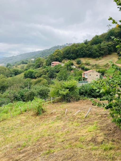 La So Casa -En El Corazon De Asturias Villa Armiello Dış mekan fotoğraf