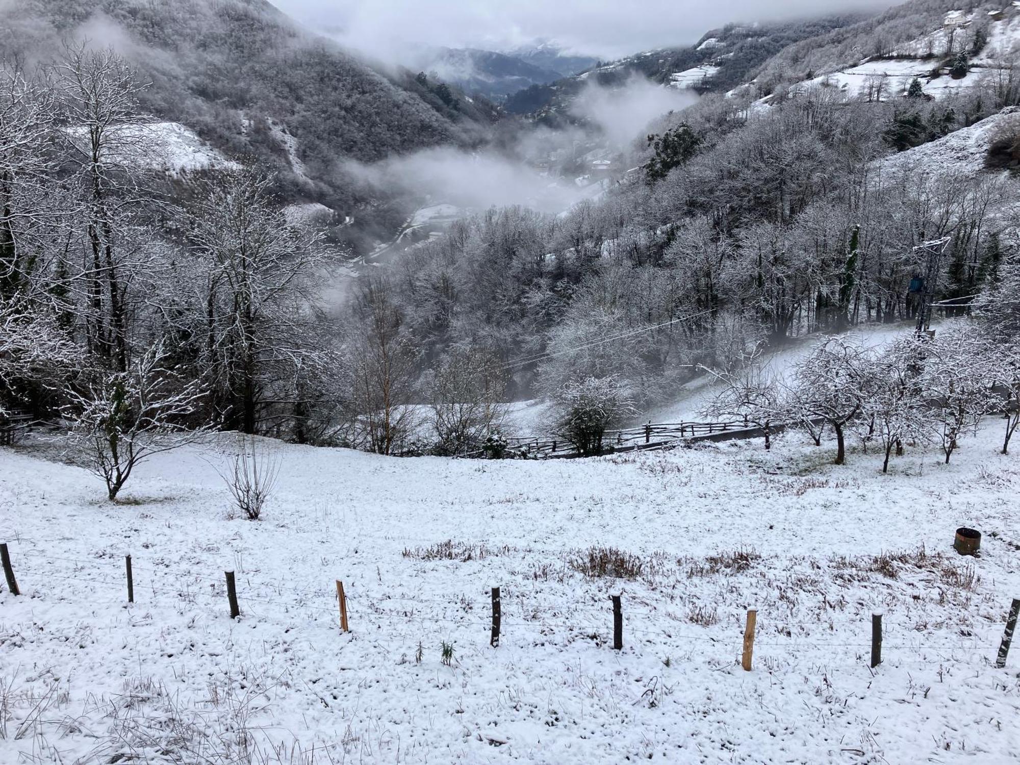 La So Casa -En El Corazon De Asturias Villa Armiello Dış mekan fotoğraf